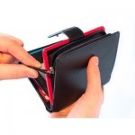 Ladies Protector Purse